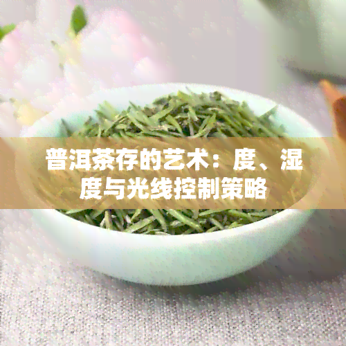 普洱茶存的艺术：度、湿度与光线控制策略