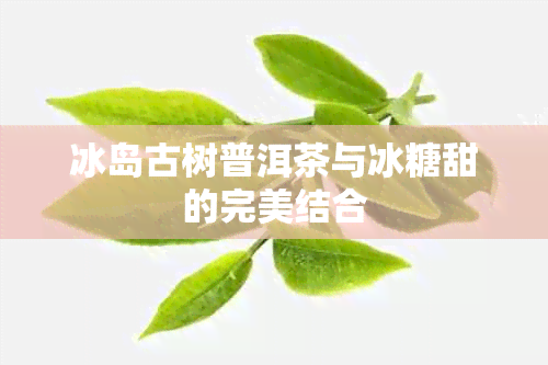 冰岛古树普洱茶与冰糖甜的完美结合