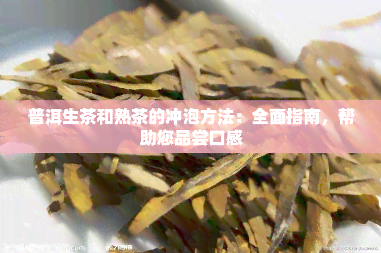 普洱生茶和熟茶的冲泡方法：全面指南，帮助您品尝口感