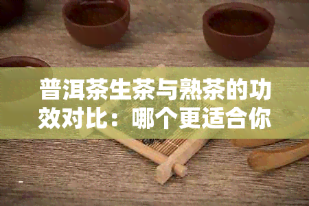 普洱茶生茶与熟茶的功效对比：哪个更适合你？