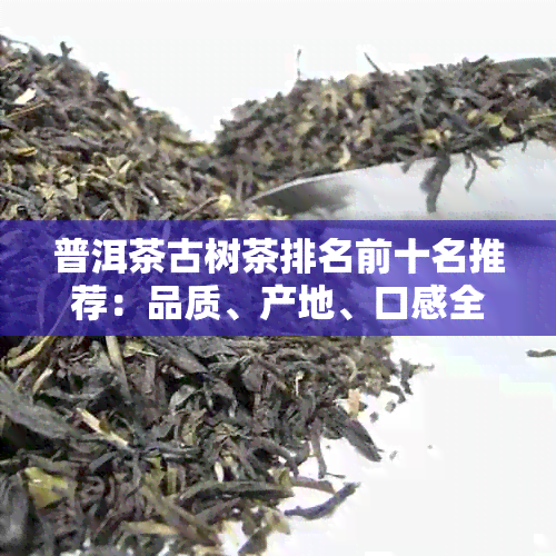 普洱茶古树茶排名前十名推荐：品质、产地、口感全方位解析