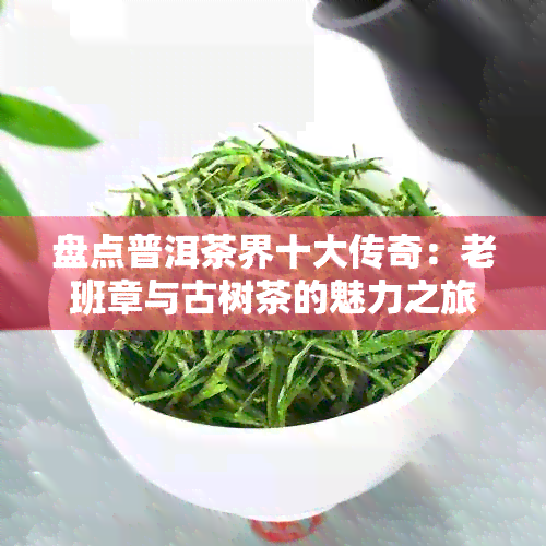 盘点普洱茶界十大传奇：老班章与古树茶的魅力之旅