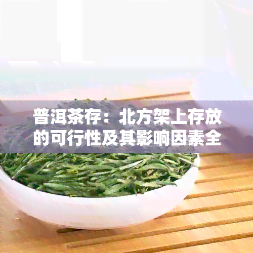 普洱茶存：北方架上存放的可行性及其影响因素全面解析