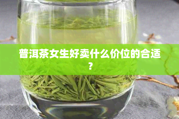 普洱茶女生好卖什么价位的合适？