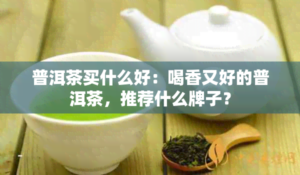 普洱茶买什么好：喝香又好的普洱茶，推荐什么牌子？