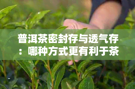 普洱茶密封存与透气存：哪种方式更有利于茶叶的品质？