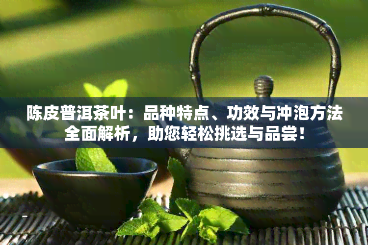 陈皮普洱茶叶：品种特点、功效与冲泡方法全面解析，助您轻松挑选与品尝！