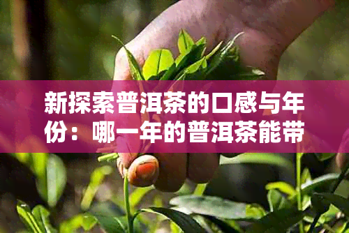 新探索普洱茶的口感与年份：哪一年的普洱茶能带来更好的泡饮体验？