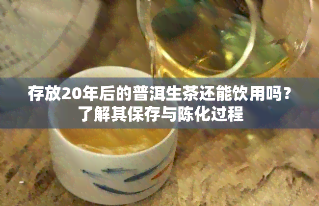 存放20年后的普洱生茶还能饮用吗？了解其保存与陈化过程