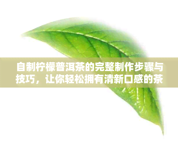 自制柠檬普洱茶的完整制作步骤与技巧，让你轻松拥有清新口感的茶饮