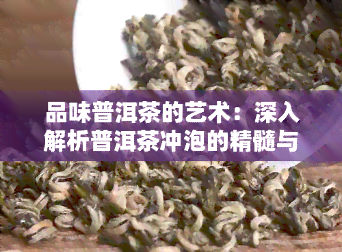 品味普洱茶的艺术：深入解析普洱茶冲泡的精髓与技巧