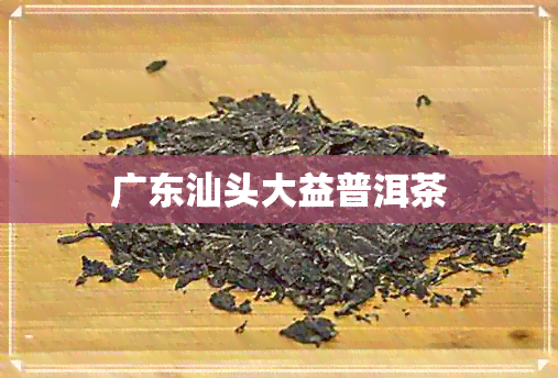 广东汕头大益普洱茶