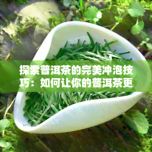 探索普洱茶的完美冲泡技巧：如何让你的普洱茶更美味