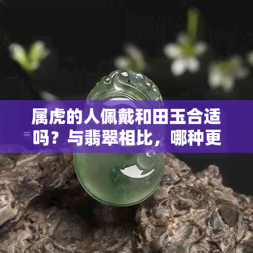 属虎的人佩戴和田玉合适吗？与翡翠相比，哪种更适合？