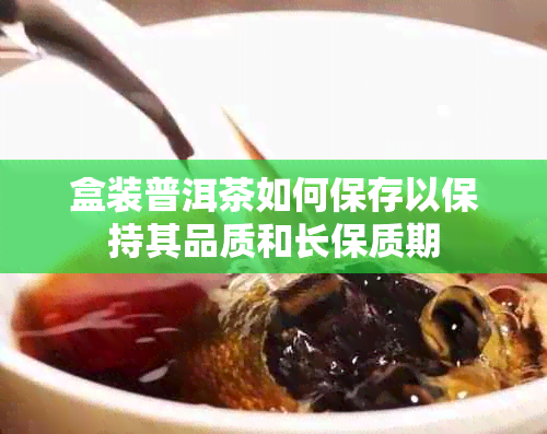 盒装普洱茶如何保存以保持其品质和长保质期