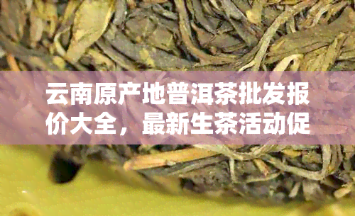 云南原产地普洱茶批发报价大全，最新生茶活动促销