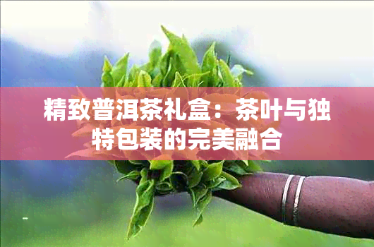 精致普洱茶礼盒：茶叶与独特包装的完美融合