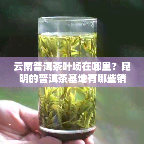 云南普洱茶叶场在哪里？昆明的普洱茶基地有哪些销售点？