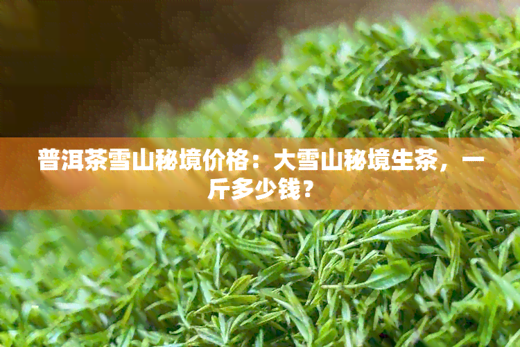 普洱茶雪山秘境价格：大雪山秘境生茶，一斤多少钱？