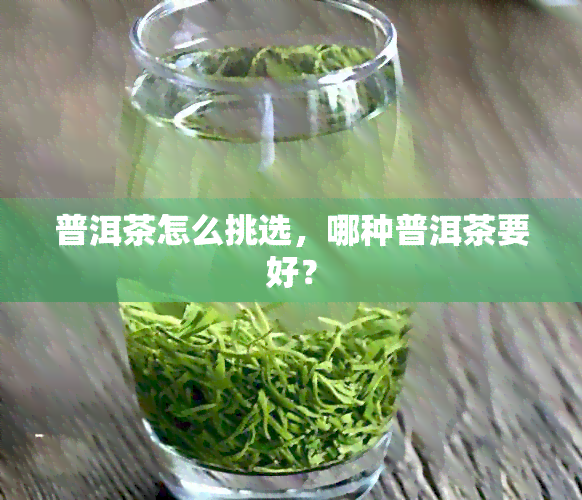 普洱茶怎么挑选，哪种普洱茶要好？