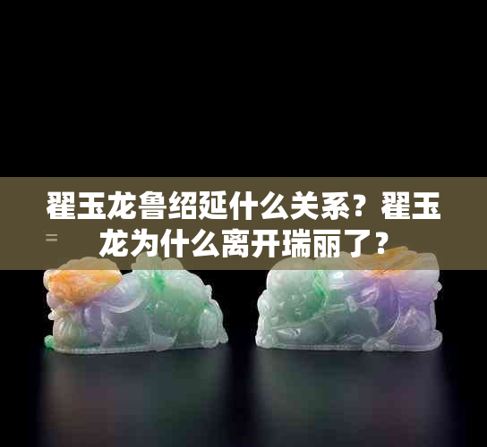 翟玉龙鲁绍延什么关系？翟玉龙为什么离开瑞丽了？