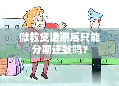 微粒贷逾期后只能分期还款吗？