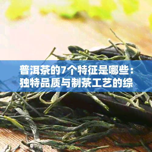 普洱茶的7个特征是哪些：独特品质与制茶工艺的综合体现