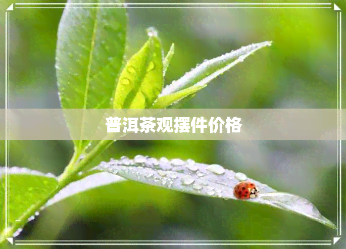 普洱茶观摆件价格