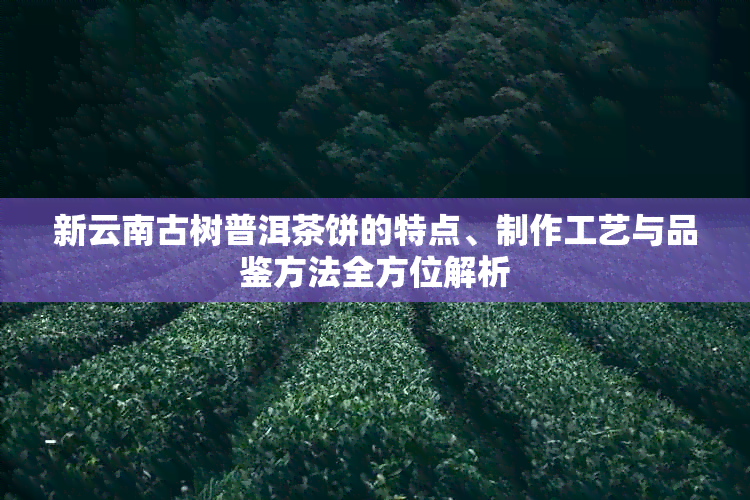 新云南古树普洱茶饼的特点、制作工艺与品鉴方法全方位解析