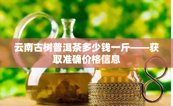 云南古树普洱茶多少钱一斤——获取准确价格信息