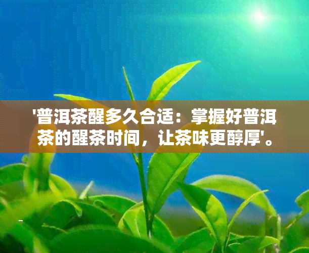 '普洱茶醒多久合适：掌握好普洱茶的醒茶时间，让茶味更醇厚'。