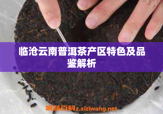 临沧云南普洱茶产区特色及品鉴解析