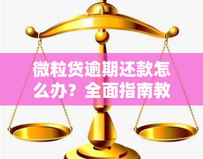 微粒贷逾期还款怎么办？全面指南教你如何尽快还清债务并避免影响信用