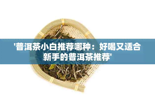 '普洱茶小白推荐哪种：好喝又适合新手的普洱茶推荐'