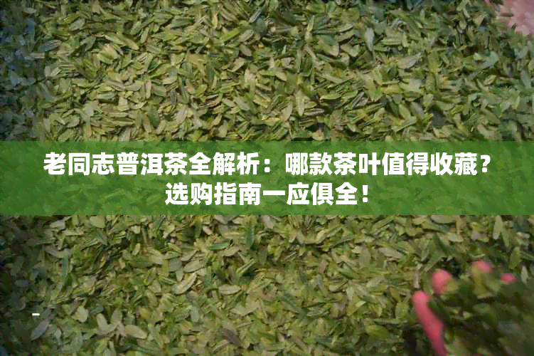 老同志普洱茶全解析：哪款茶叶值得收藏？选购指南一应俱全！