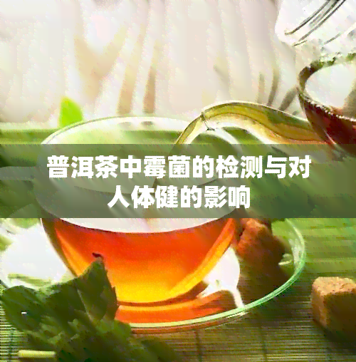 普洱茶中霉菌的检测与对人体健的影响