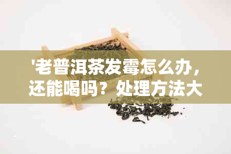 '老普洱茶发霉怎么办，还能喝吗？处理方法大揭秘！'