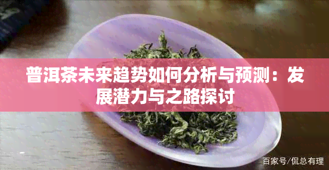 普洱茶未来趋势如何分析与预测：发展潜力与之路探讨