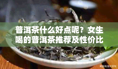 普洱茶什么好点呢？女生喝的普洱茶推荐及性价比分析