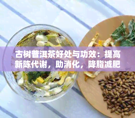 古树普洱茶好处与功效：提高新陈代谢，助消化，降脂减肥，抗衰老，抗氧化。