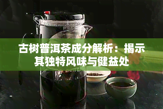 古树普洱茶成分解析：揭示其独特风味与健益处