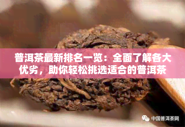 普洱茶最新排名一览：全面了解各大优劣，助你轻松挑选适合的普洱茶