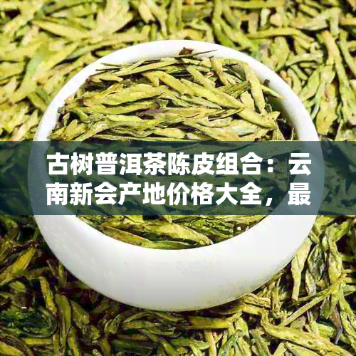 古树普洱茶陈皮组合：云南新会产地价格大全，最新批发报价及货源信息