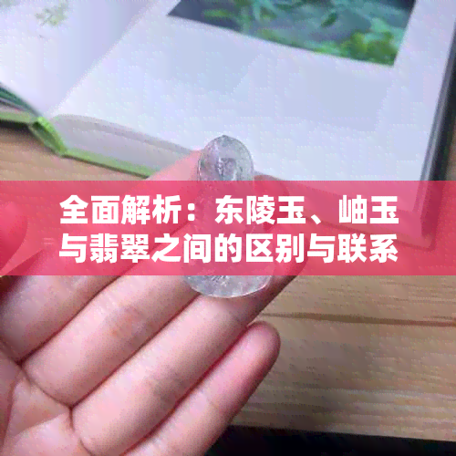 全面解析：东陵玉、岫玉与翡翠之间的区别与联系，帮助您轻松辨别和选择宝石