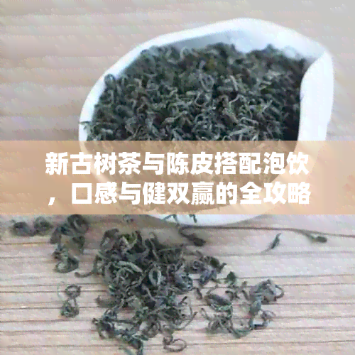 新古树茶与陈皮搭配泡饮，口感与健双赢的全攻略