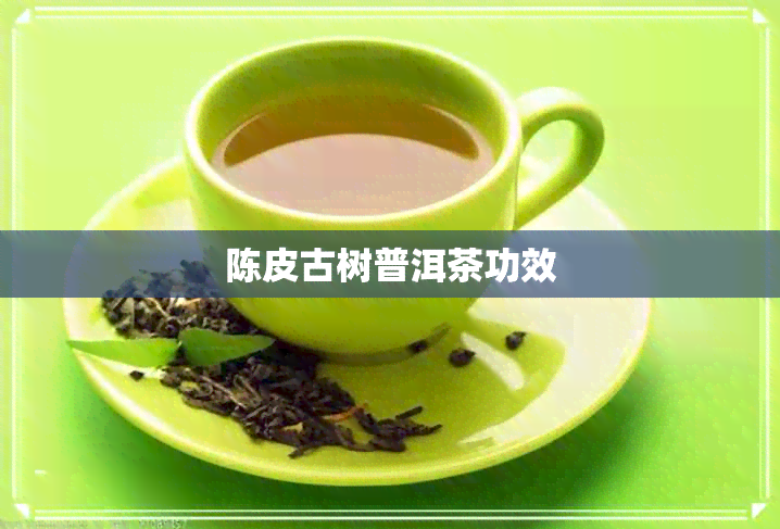 陈皮古树普洱茶功效