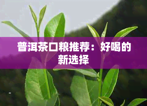 普洱茶口粮推荐：好喝的新选择