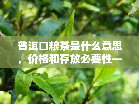 普洱口粮茶是什么意思，价格和存放必要性——解答关于普洱口粮茶的所有疑问