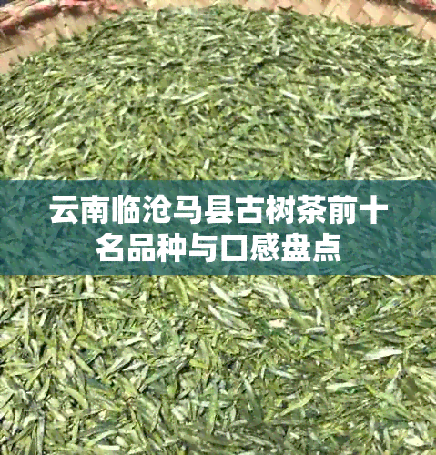 云南临沧马县古树茶前十名品种与口感盘点