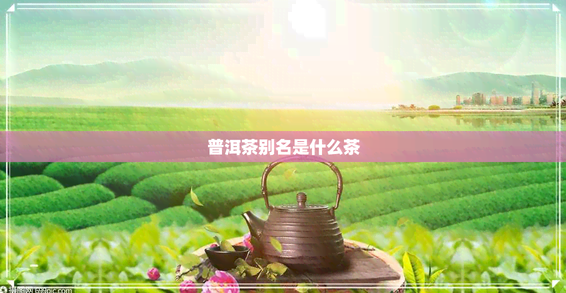 普洱茶别名是什么茶